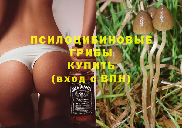 гашишное масло Михайлов