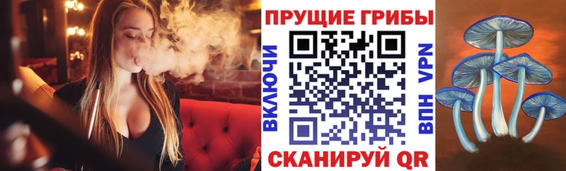 магазин    Беломорск  Псилоцибиновые грибы мухоморы 